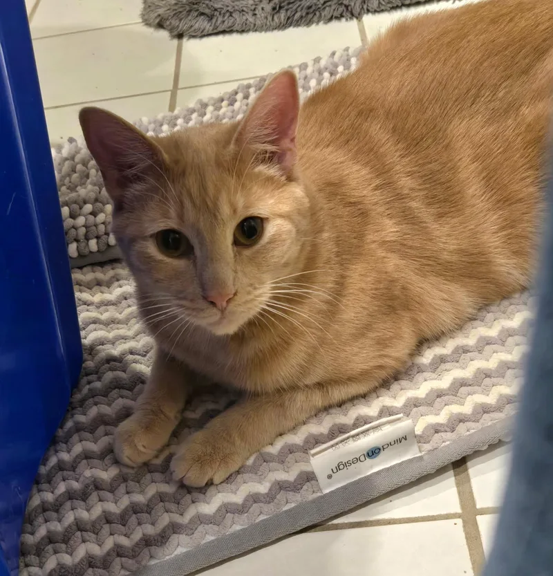 Carlos & Earl Bonded thumbnail 4