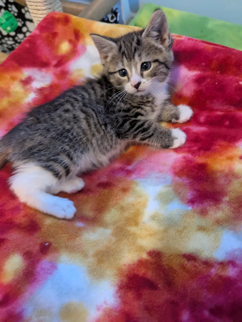 Hookfang thumbnail 2