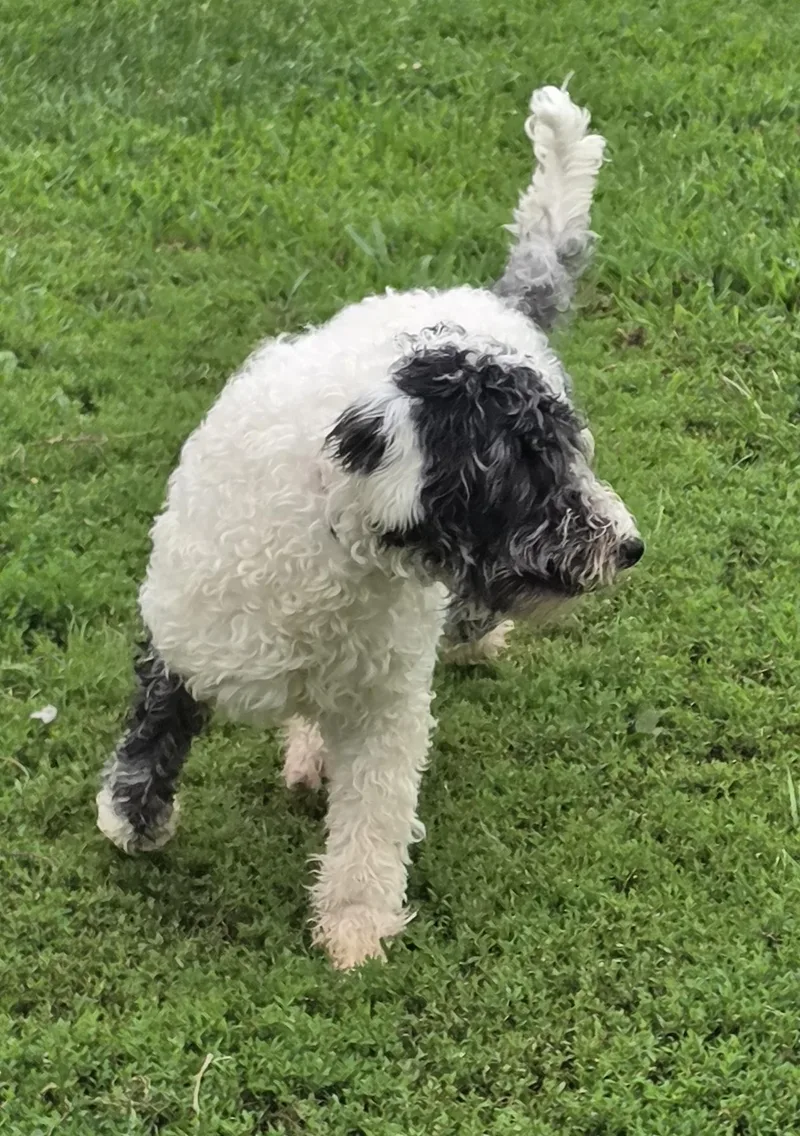 Matilda