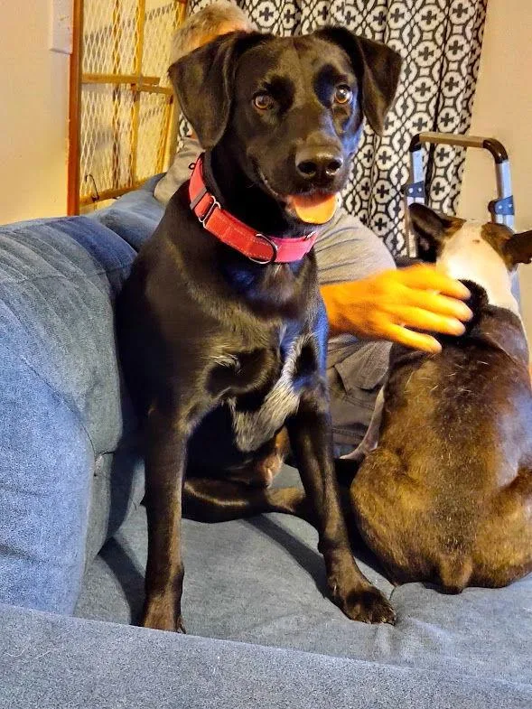 Coya In Ohio thumbnail 2