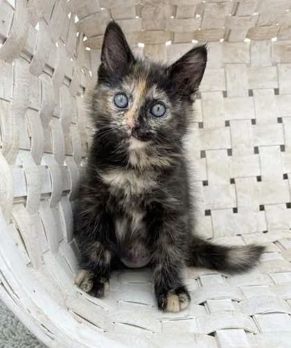 Sassy Will Make Your thumbnail 5