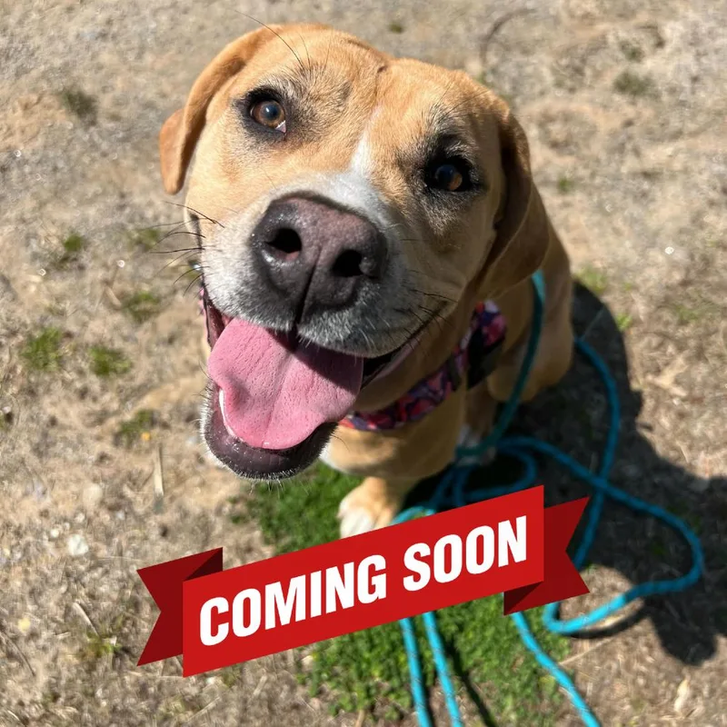 Little Debbie thumbnail 2