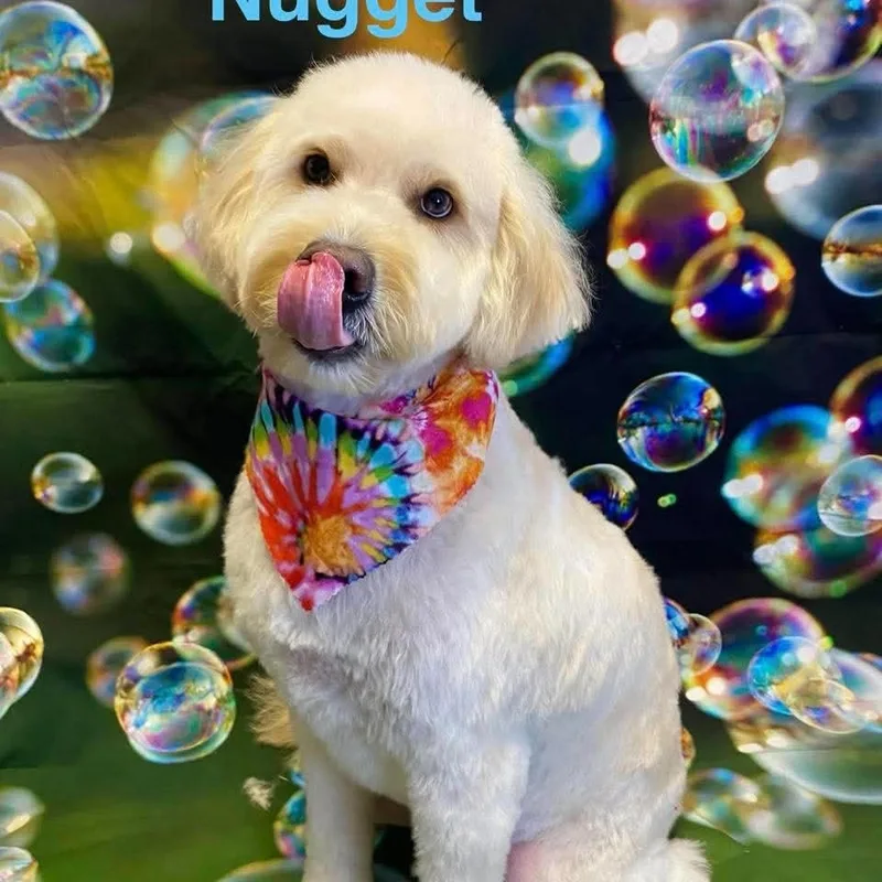 Nugget thumbnail 3