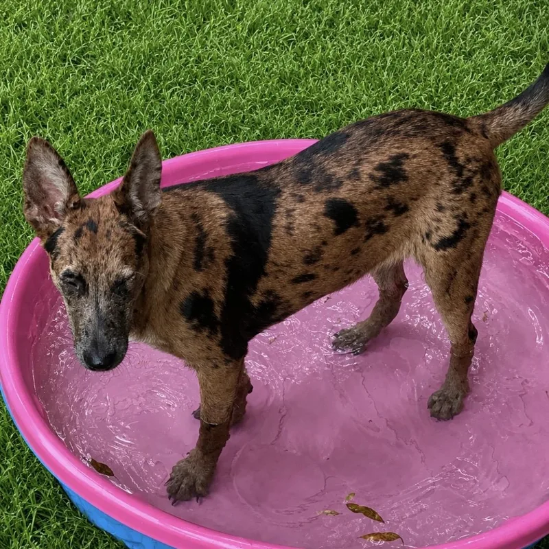 Millie  sweet and thumbnail 6
