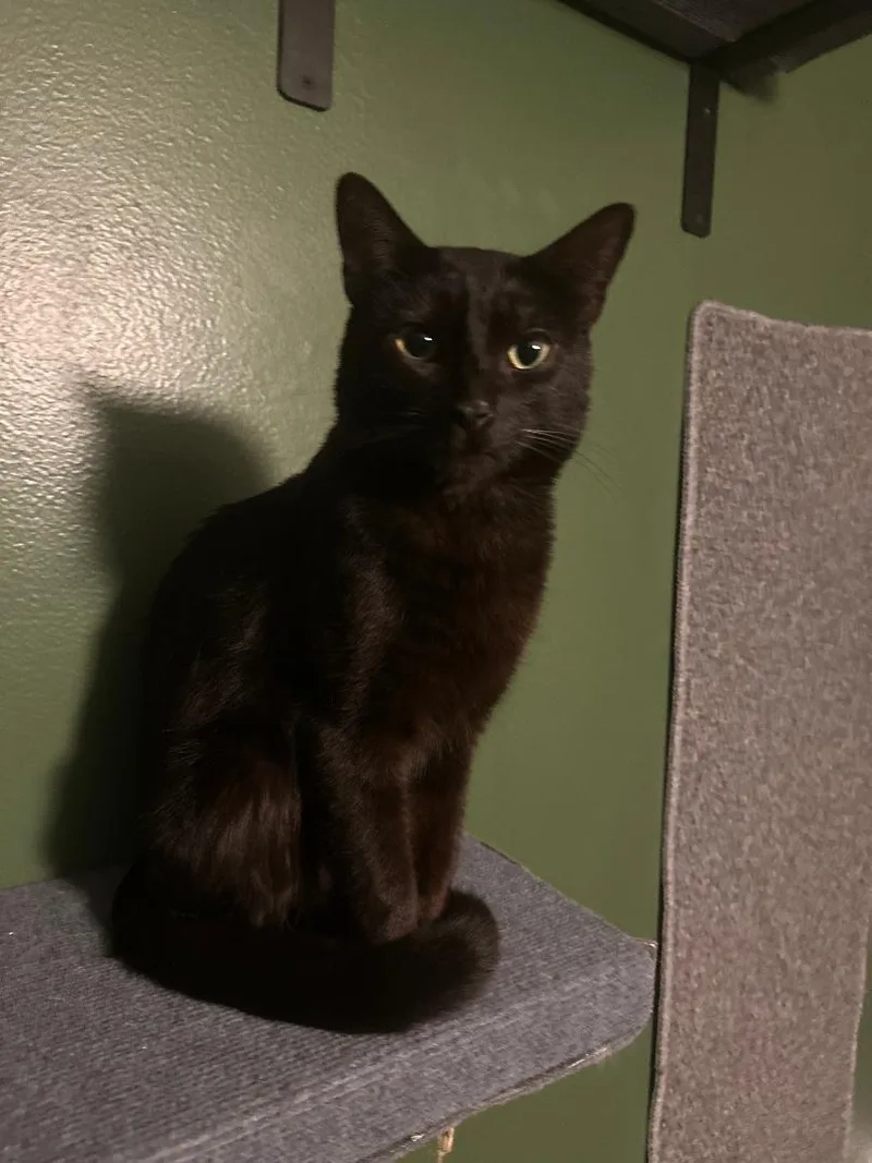 Diet Coke And Diet thumbnail 3