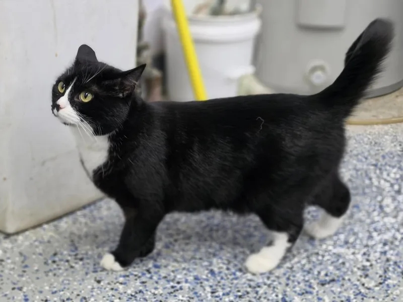 Sprinkles thumbnail 2