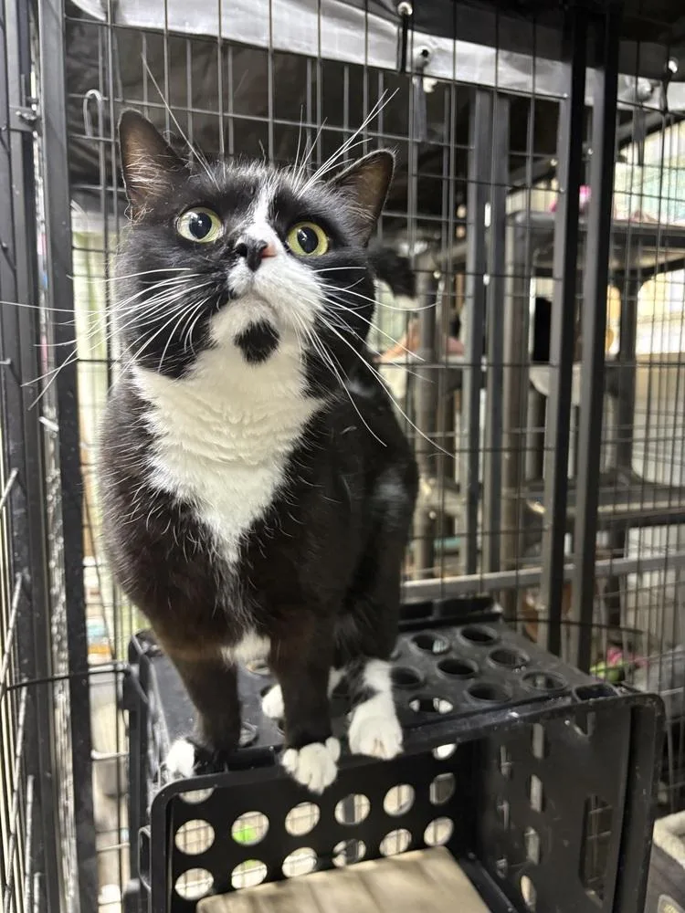 Sprinkles thumbnail 4