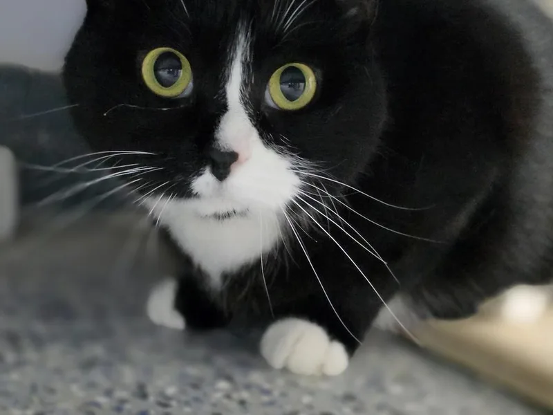 Sprinkles thumbnail 5