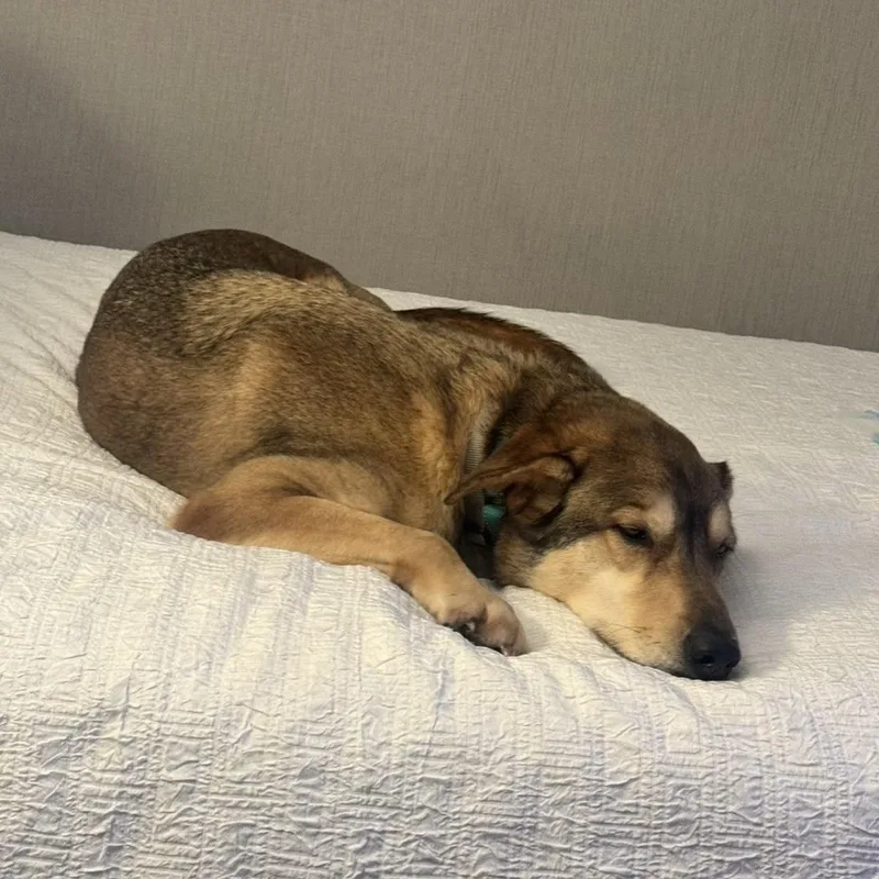 Milo