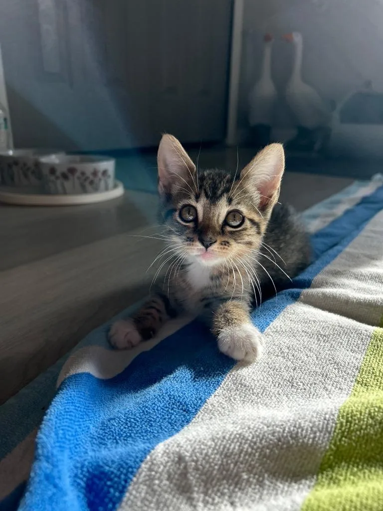 Stormi