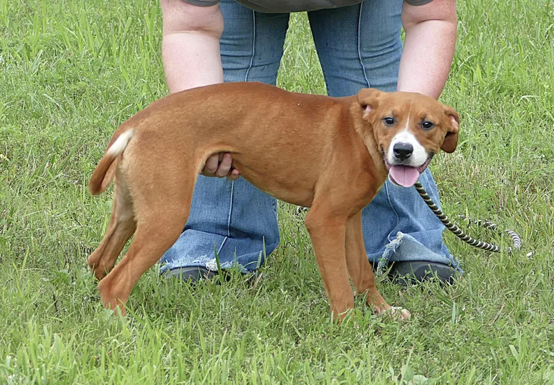 Sadie thumbnail 2
