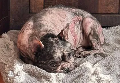 Juice Box thumbnail 2