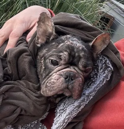 Juice Box thumbnail 3