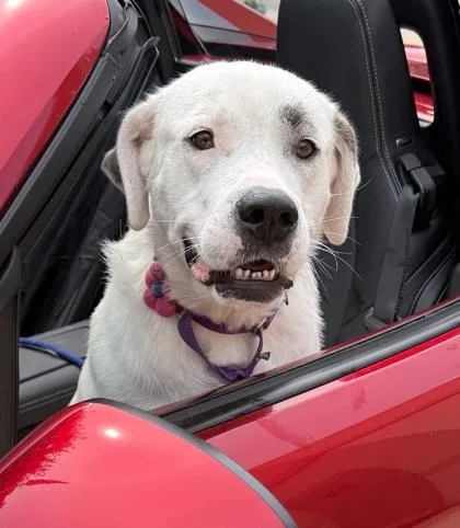Zoey thumbnail 3