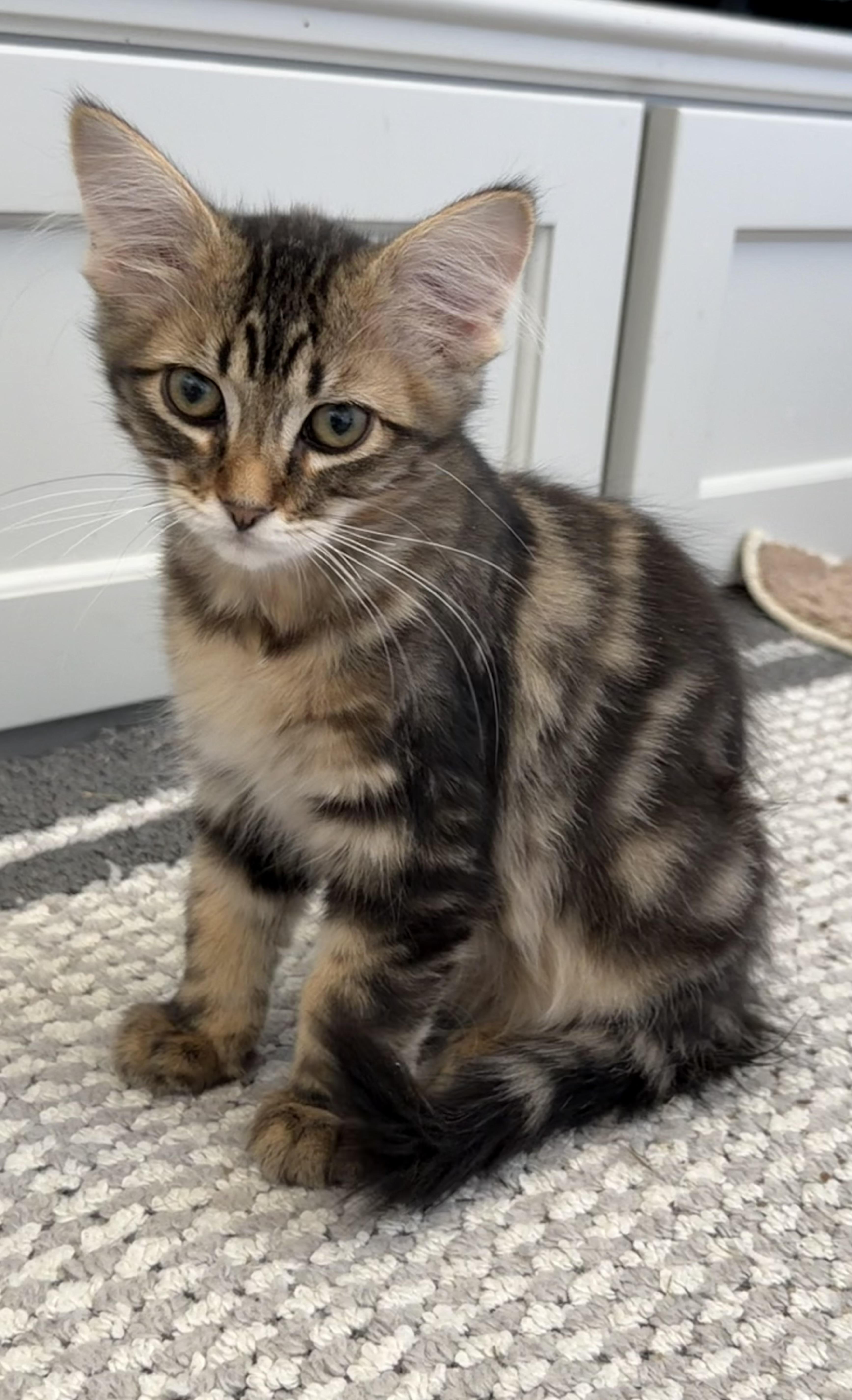 Milky Way  Riley thumbnail 3