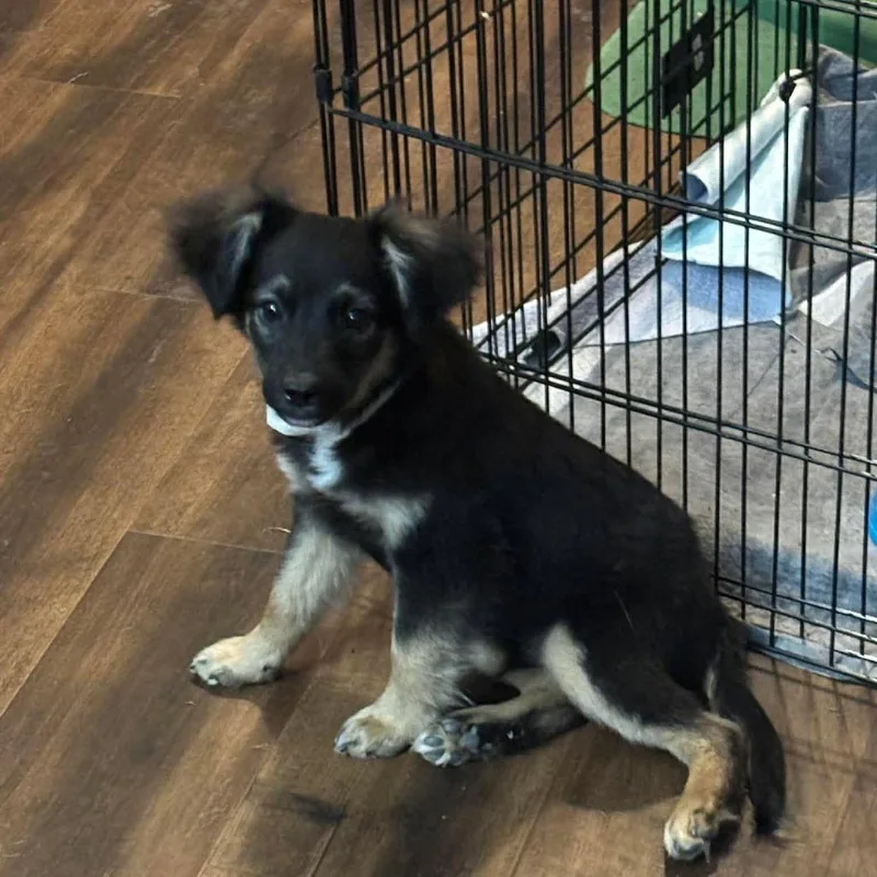 Daikin D Arriving thumbnail 2