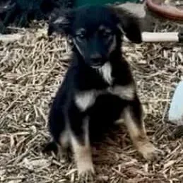 Daikin D Arriving thumbnail 3