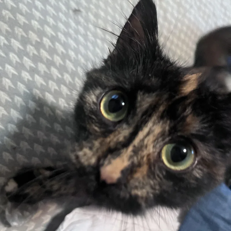 Sarah thumbnail 3