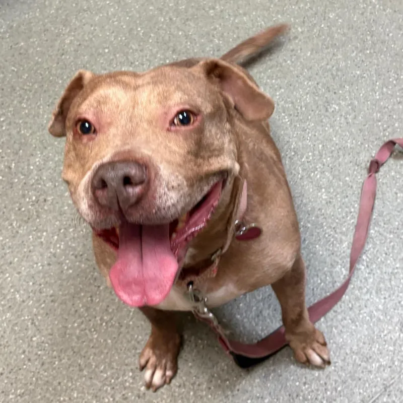 Precious thumbnail 2