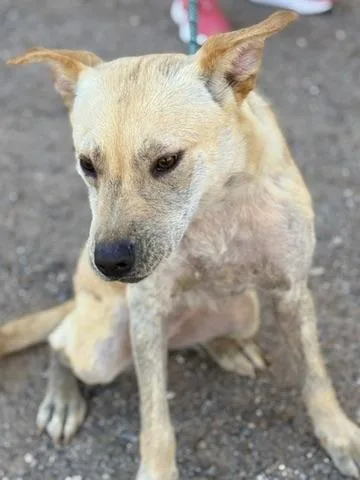 Hermione thumbnail 2