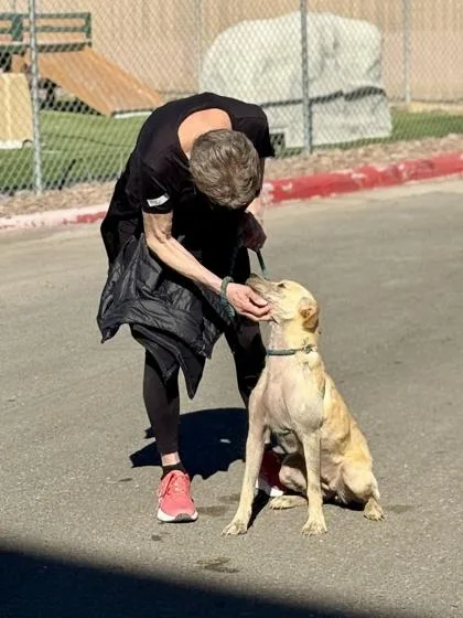 Hermione thumbnail 3