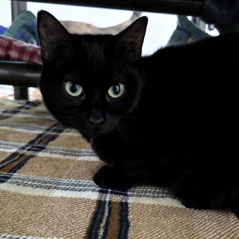 Sabrina thumbnail 2