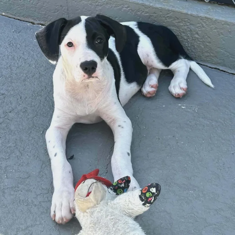 Rosalina thumbnail 3