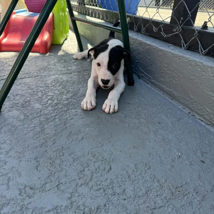 Rosalina thumbnail 6