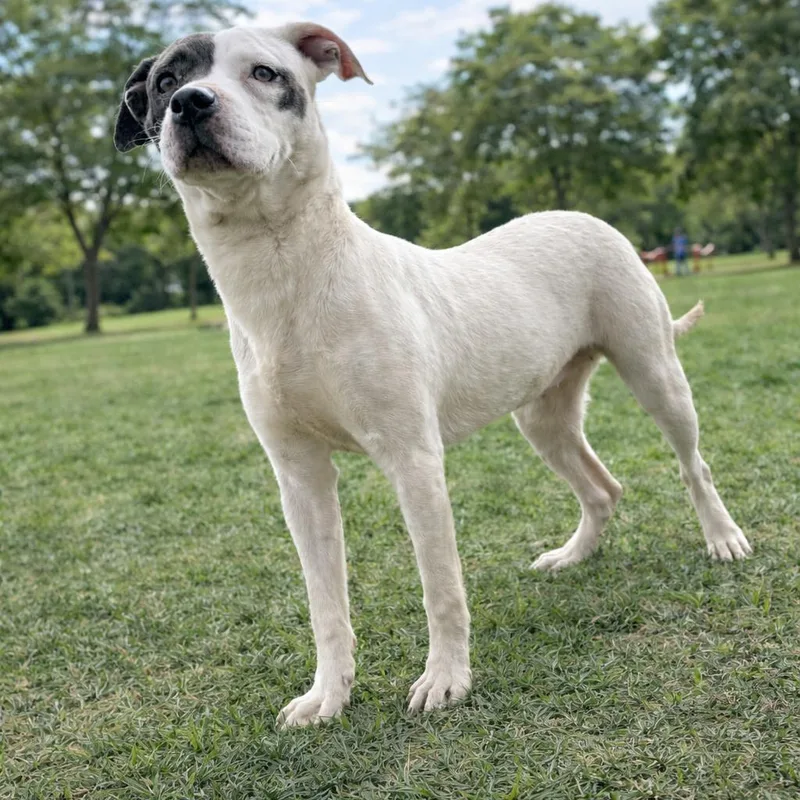 Lisa Frank P thumbnail 2