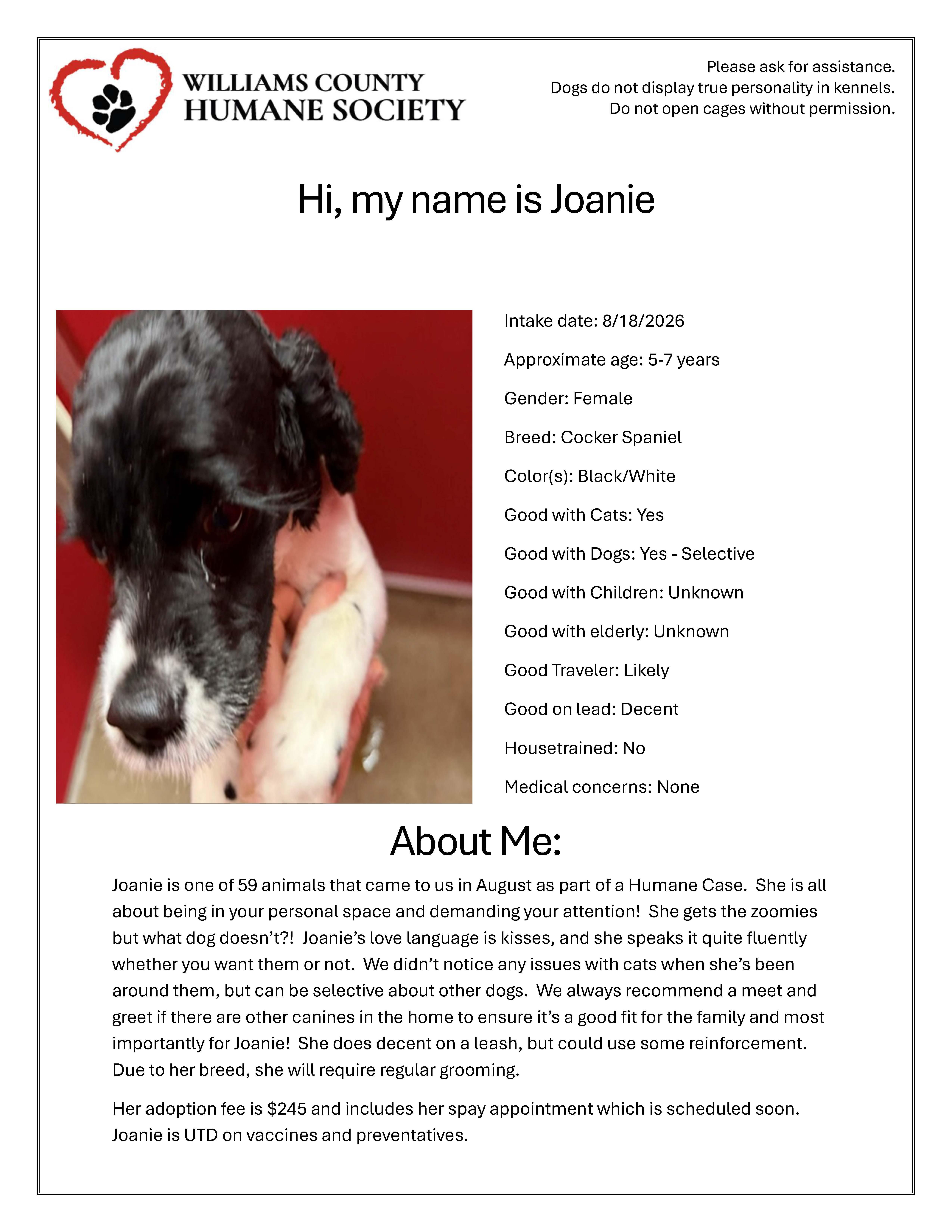 Joanie thumbnail 2