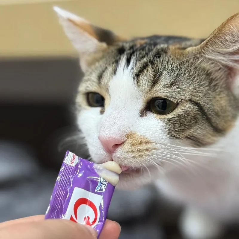 Violet thumbnail 4
