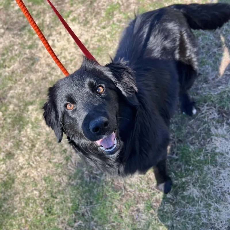 June Carter thumbnail 2