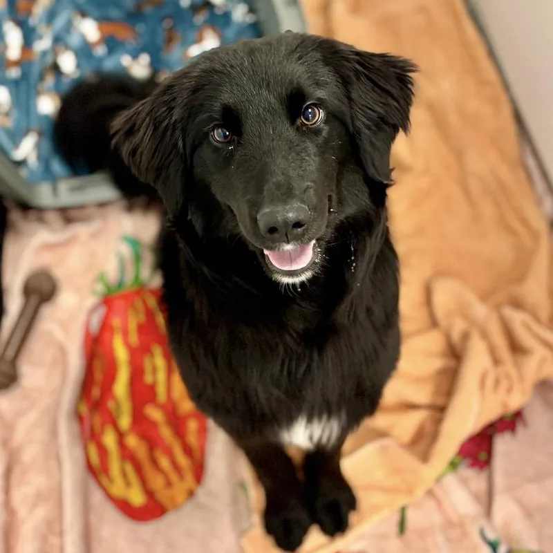 June Carter thumbnail 3