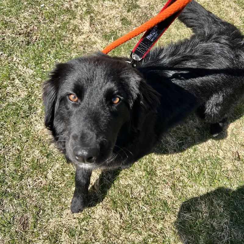 June Carter thumbnail 4