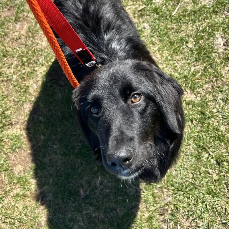 June Carter thumbnail 5