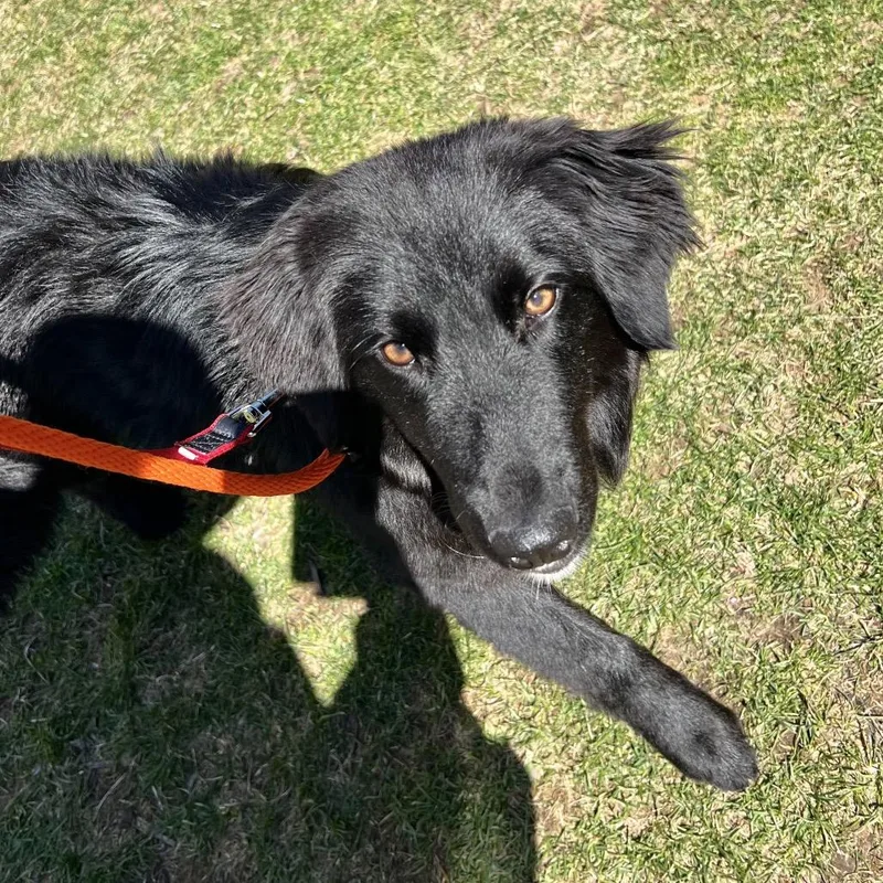 June Carter thumbnail 6