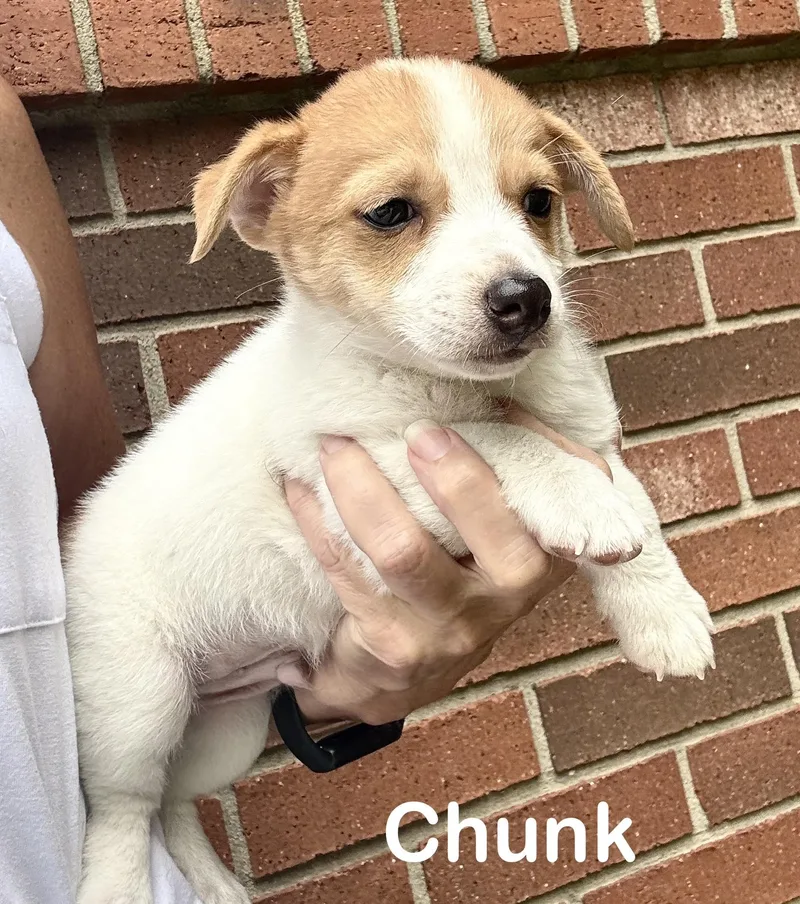 Casper  Chunk and thumbnail 2