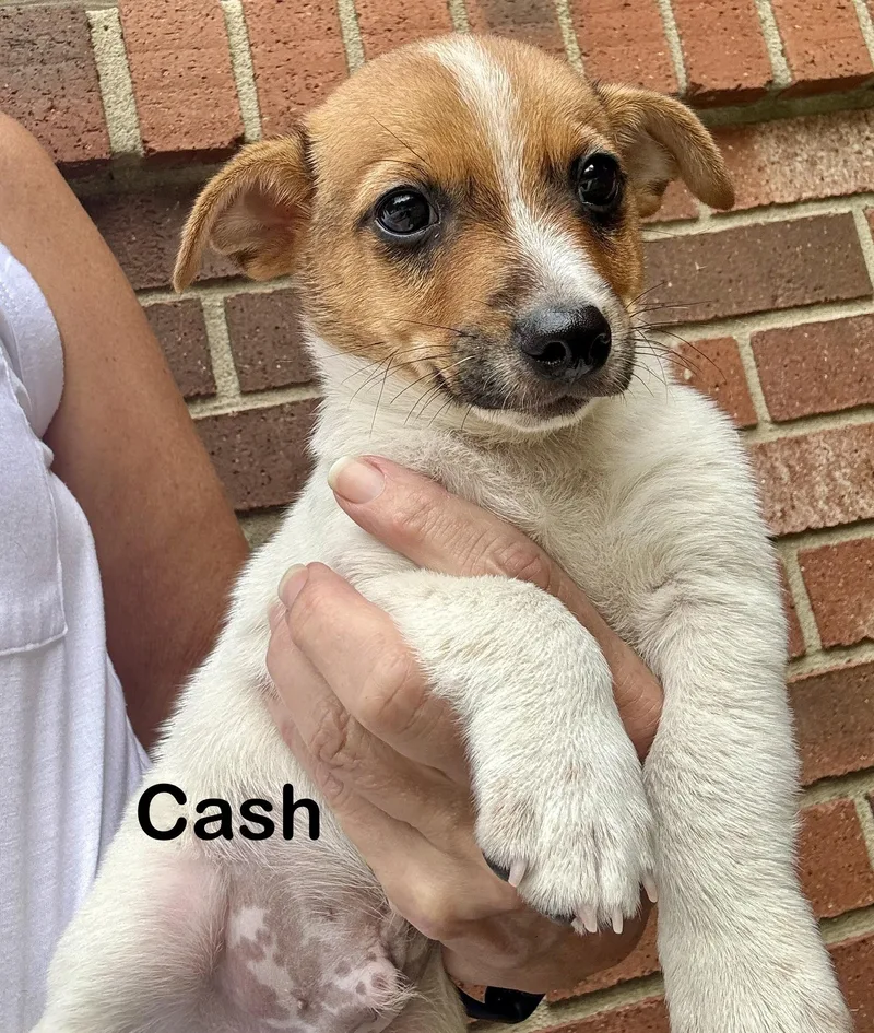 Casper  Chunk and thumbnail 4