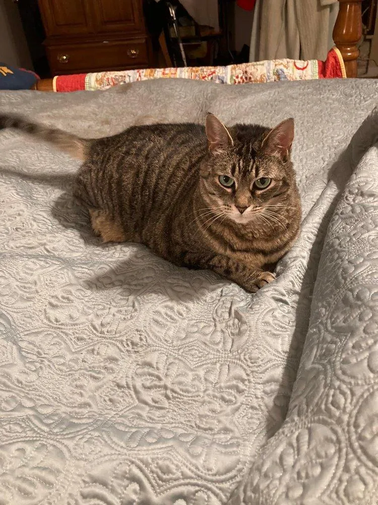 Lexi  Lh thumbnail 2