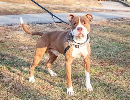 Mc Mikey thumbnail 2