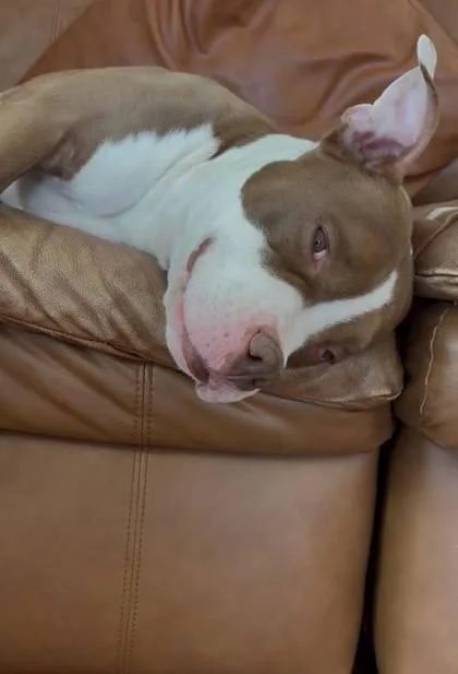 Mc Mikey thumbnail 3