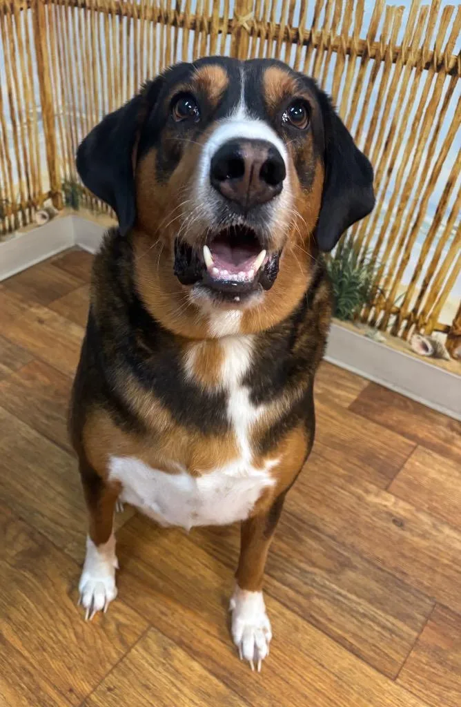 Jax
