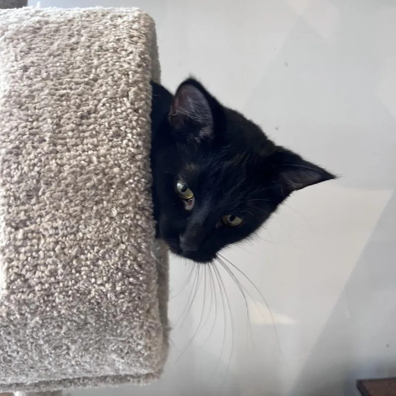 Sporty Spice thumbnail 2