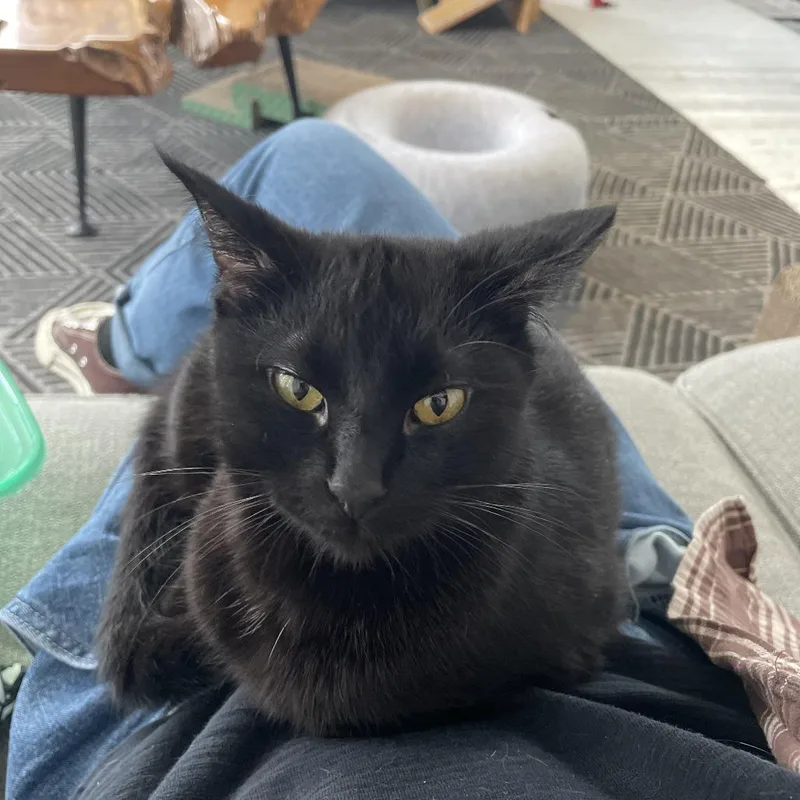 Sporty Spice thumbnail 4