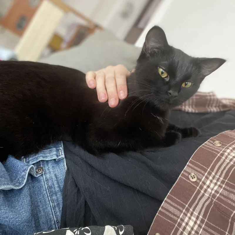 Sporty Spice thumbnail 5