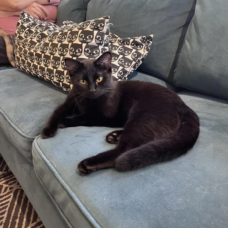 Sporty Spice thumbnail 6