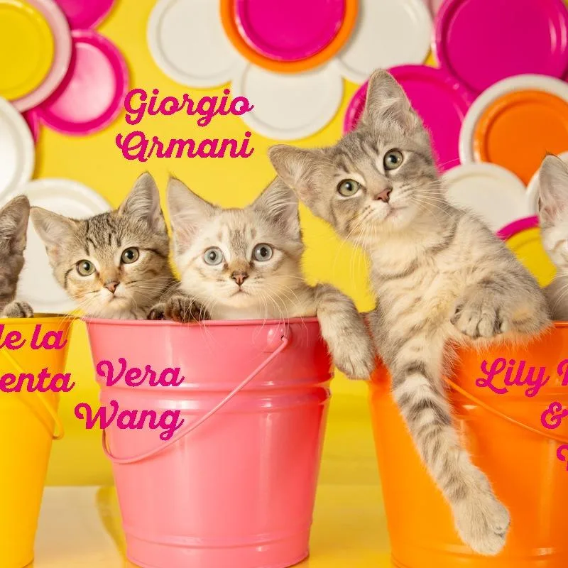 Lilly Pulitzer thumbnail 3