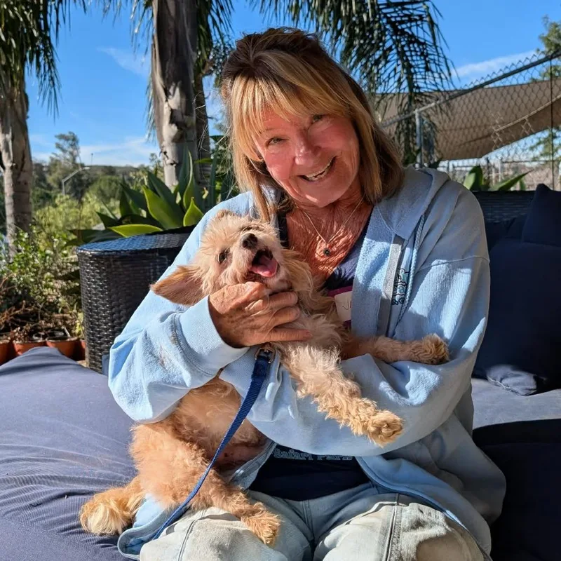 Freddie Weasley thumbnail 2