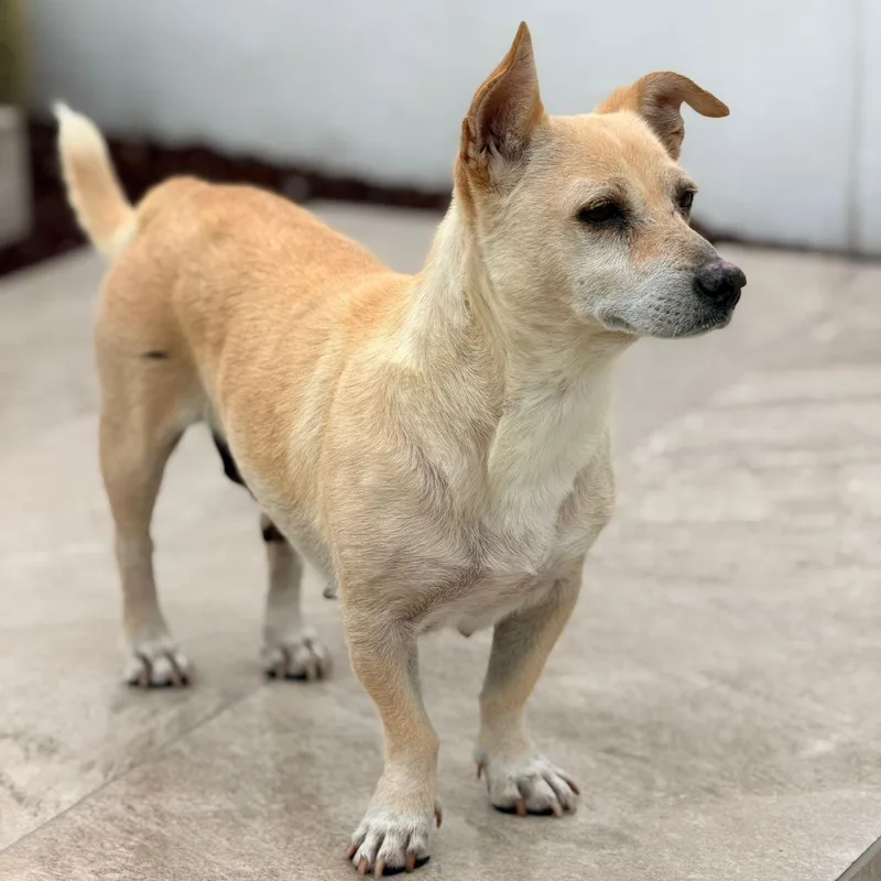 Jazmin thumbnail 6