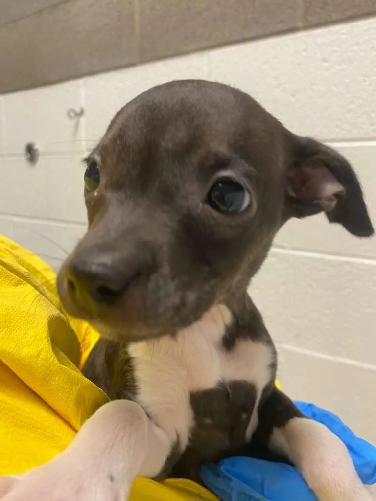 Katie Couric thumbnail 2